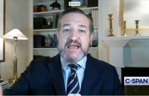 Sen. Ted Cruz to Twitter CEO: “Mr Dorsey, who the hell elected you…?”