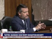 Ted Cruz SLAMS Twitter And Facebook During Election Suppression Hearing