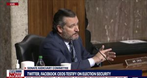 Ted Cruz SLAMS Twitter And Facebook During Election Suppression Hearing