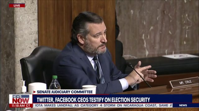 Ted Cruz SLAMS Twitter And Facebook During Election Suppression Hearing
