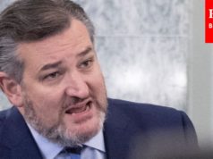 ‘Are You Going To Answer The Questions?’: Cruz’s Best Witness Grillings Of Past Year | 2021 Rewind