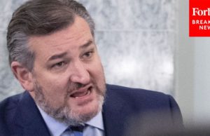 ‘Are You Going To Answer The Questions?’: Cruz’s Best Witness Grillings Of Past Year | 2021 Rewind
