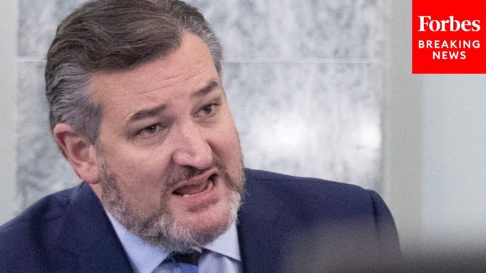‘Are You Going To Answer The Questions?’: Cruz’s Best Witness Grillings Of Past Year | 2021 Rewind