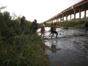 Border Patrol union tells ACLU ‘go to Hell,’ over migrant fight, urges votes for pro-border defense candidates