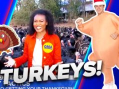 Good Morning America Blames Turkey Shortage On CLIMATE CHANGE
