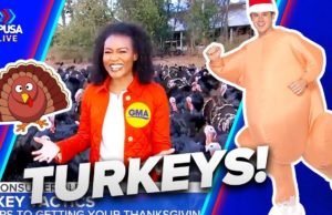 Good Morning America Blames Turkey Shortage On CLIMATE CHANGE