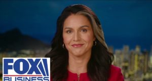 Tulsi Gabbard: We have too many cowards in Washington