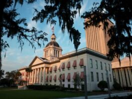 Florida To Investigate Teachers Found Celebrating Charlie Kirk Assassination The Florida Historic Capitol sits near the 22-story New Capitol building, which together are part of the Capitol Complex in Tallahassee, Fla., on July 26, 2023. Joe Raedle/Getty Images